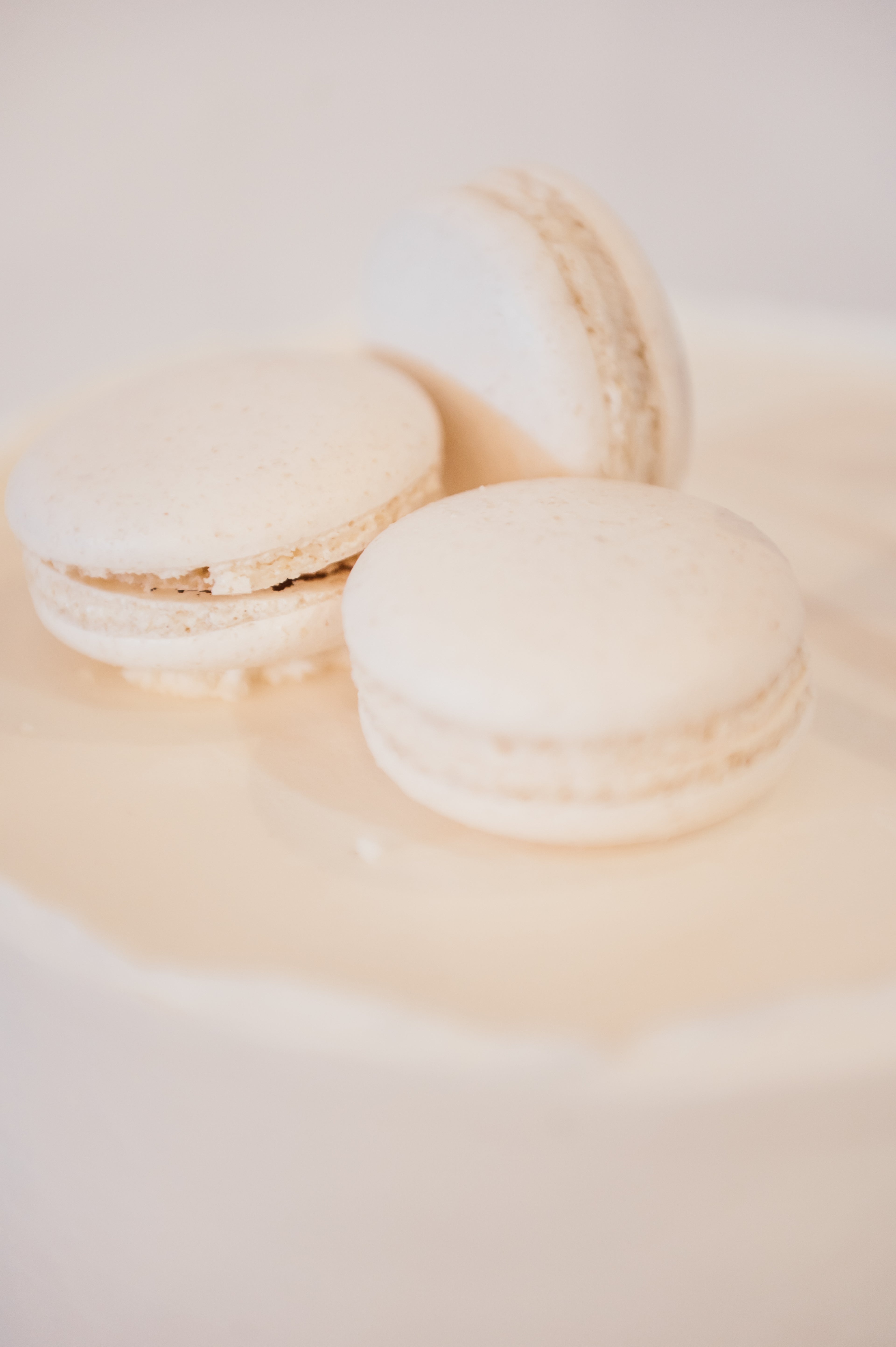 White Wonder Cake